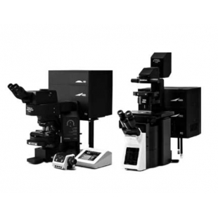奥林巴斯  FV3000 激光扫描显微镜