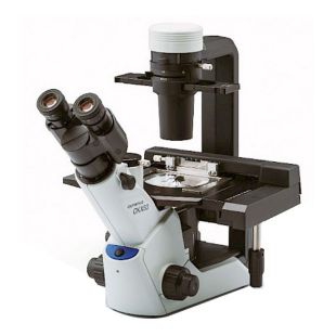 二手 奥林巴斯 倒置显微镜CKX53 CKX41 CKX31 可加荧光