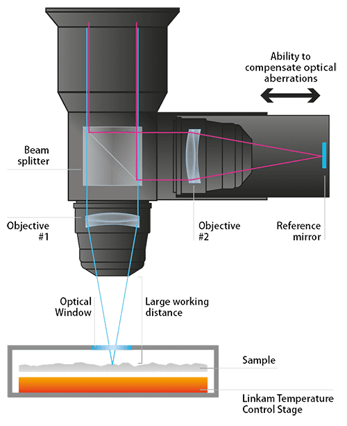 cs21 Linkam - silicon wafer 3