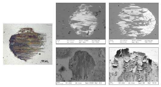 SEM (and light microscopy) micrographs of the transfer layers