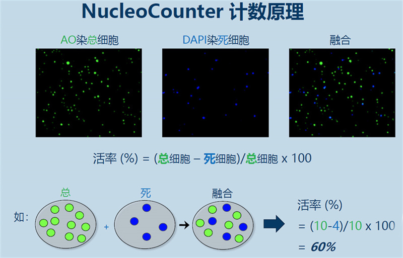 NucleoCounter NC-200细胞计数仪