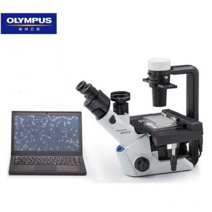 奥林巴斯倒置生物显微镜