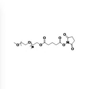mPEG-SG  甲氧基PEG琥珀酰亚胺戊二酸酯