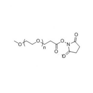mPEG-SPA  甲氧基PEG琥珀酰亚胺丙酸酯