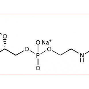 RB-PEG-NH2,罗丹明PEG氨基