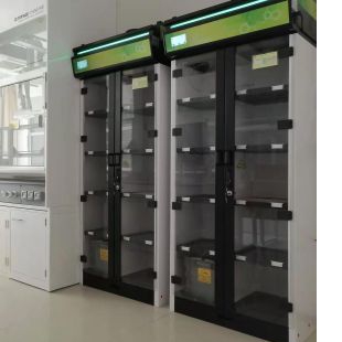 济南格润化验室净气型储药柜