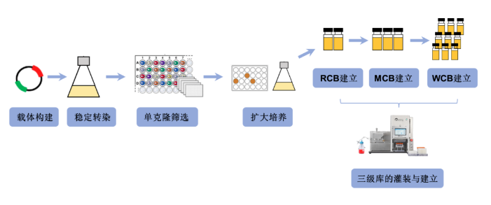 【收藏】细胞库、菌株库、质粒库的自动化灌装解决方案