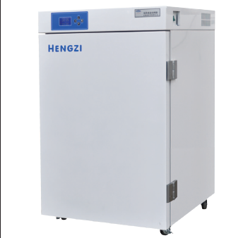 上海跃进升级型电热恒温培养箱HDPF-256（HH.B11.600-BY）