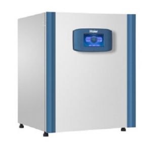 HCP-258 二氧化碳培养箱