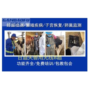 便宜马用B超驴B超测孕仪价格报价多少钱