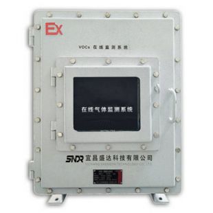 RTO处理前端VOC浓度监测仪 废气浓度监测