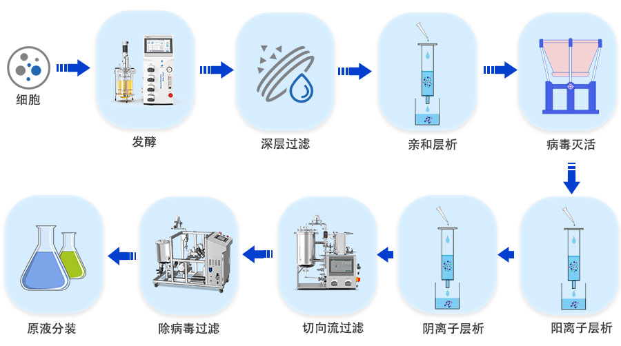 切向流过滤技术：重组蛋白制备的得力助手