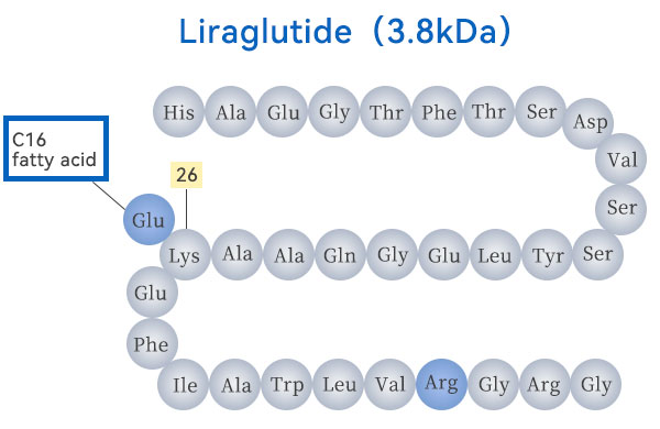 流过生命之网：切向流超滤技术解锁GLP-1药物制备新境界