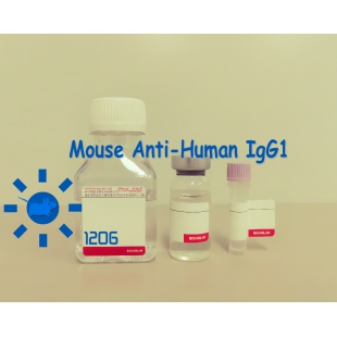 小鼠抗人IgG1