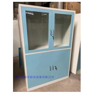 广州通玻器械柜文件柜带锁器械柜定做实验室储物柜厂家