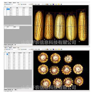 山东齐农-玉米考种分析系统-QN-KZ-A-农林专用仪器