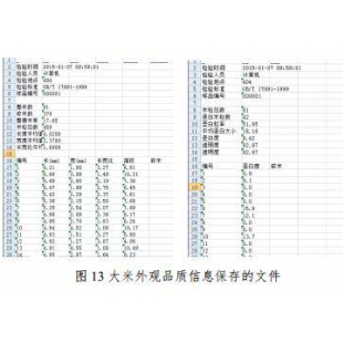 山东齐农-大米外观品质分析仪-QNMZ-A-农林专用仪器