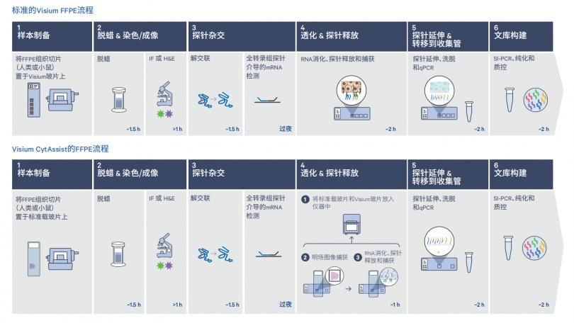 10x Genomics Visium CytAssist