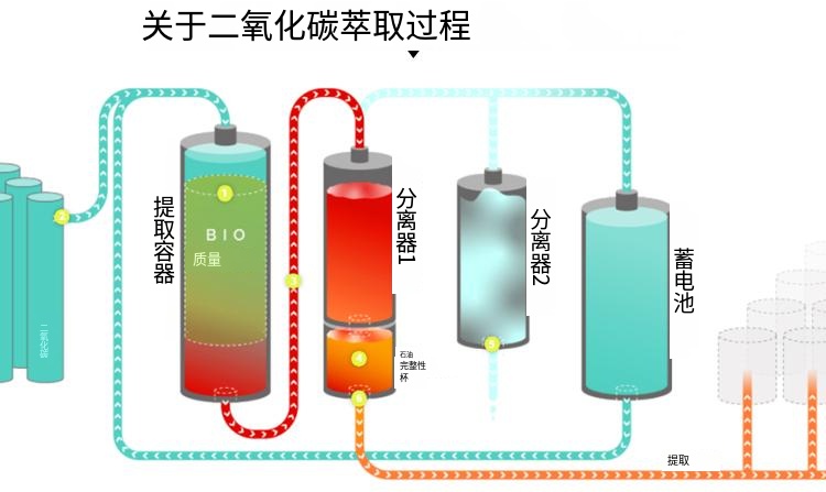 co2 extraction (10)_译图.png