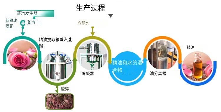 plant oil extraction (6)_译图.png