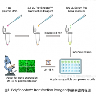 LeapWal PolyShooter DNA高效转染试剂