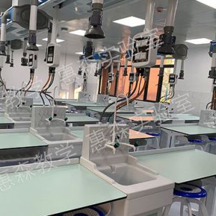 惠森 化学通风实验室设备 全铝中学化学实验室