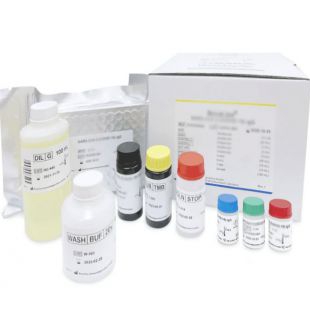 乳铁蛋白检测试剂盒