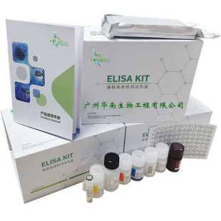 牛巴贝斯虫病核酸检测试剂盒(荧光PCR法)