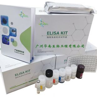 羊衣原体(OC)核酸检测试剂盒(荧光PCR法)