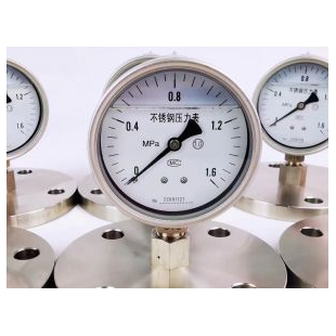 天津 不锈钢隔膜压力表  压力仪表厂家津制 价格