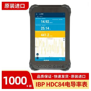 IBP HDC84电导率表