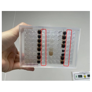 蘇州為度 HPV DNA提取微球