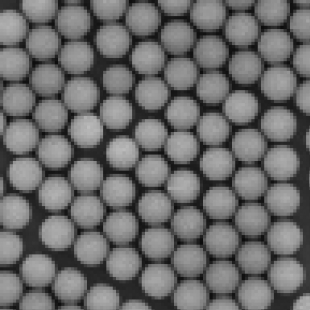 蘇州為度 單細胞測序磁性微球