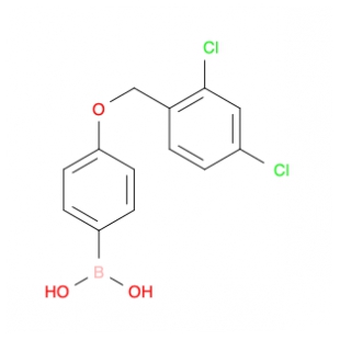 4-(2,4-二氯苯基甲氧基)苯硼酸