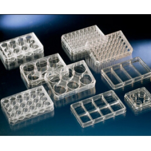 LabServ 细胞培养板 无菌 医用级聚苯乙烯 310109005