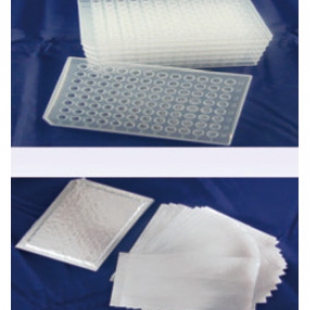 LabServ 96孔PCR板及鋁箔 聚丙烯材質 310101015