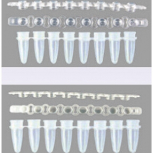 LabServ PCR 8聯管 原生聚丙烯 凸蓋/平蓋 310101010