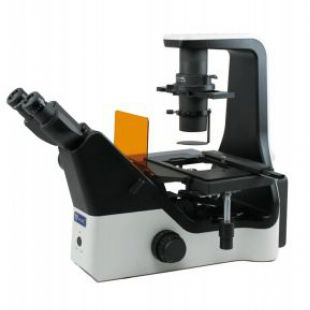 三目倒置荧光生物显微镜 WYS-41XDY 
