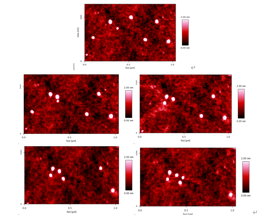 AFM可视化纳米操纵技术介绍