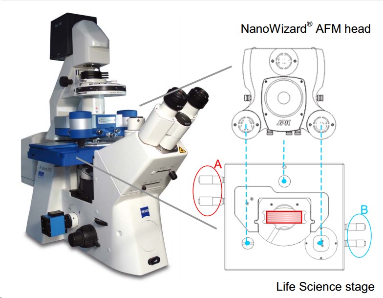 AFM可视化纳米操纵技术介绍
