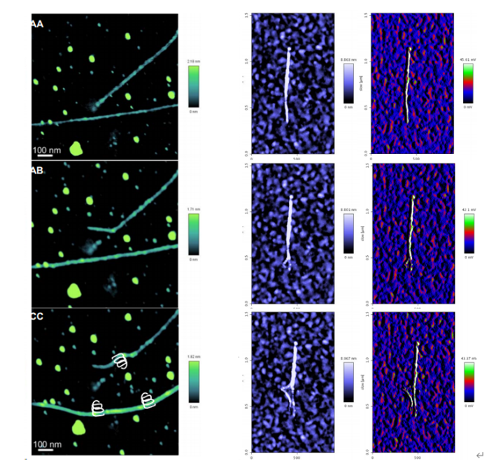 AFM可视化纳米操纵技术介绍