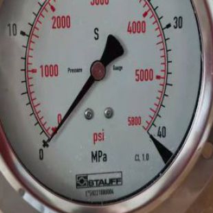 STAUFF压力表SPG100-00060-01-P-M08-UF编号