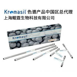 Kromasil 100-5-Phenyl 4.6x250mm 色谱柱