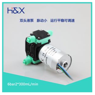 2*300ml/min双头液体泵耐腐蚀低脉动清洗泵低噪微型隔膜泵长寿命