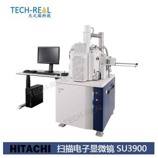 HITACHI日立 扫描电子显微镜 SU3800/SU3900