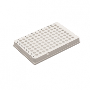 0.2mL 96孔PCR板 白色 全裙边(NGS)