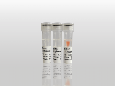 荧光素酶标记试剂盒