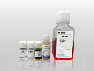 MC3T3-E1成骨诱导分化与检测试剂盒
