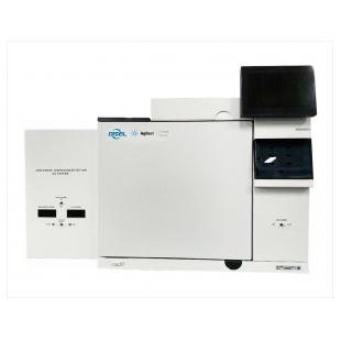 DSL 8000系列气相色谱仪