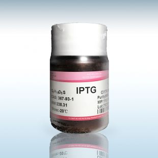 IPTG   异丙基-D-硫代半乳糖苷